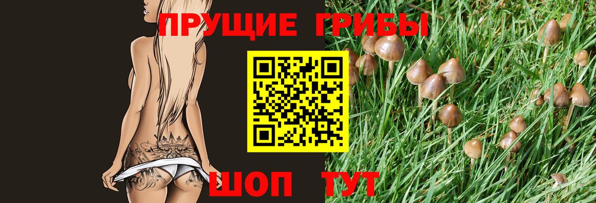 Псилоцибиновые грибы Magic Shrooms Трёхгорный